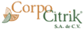Logo Corpo Citrik